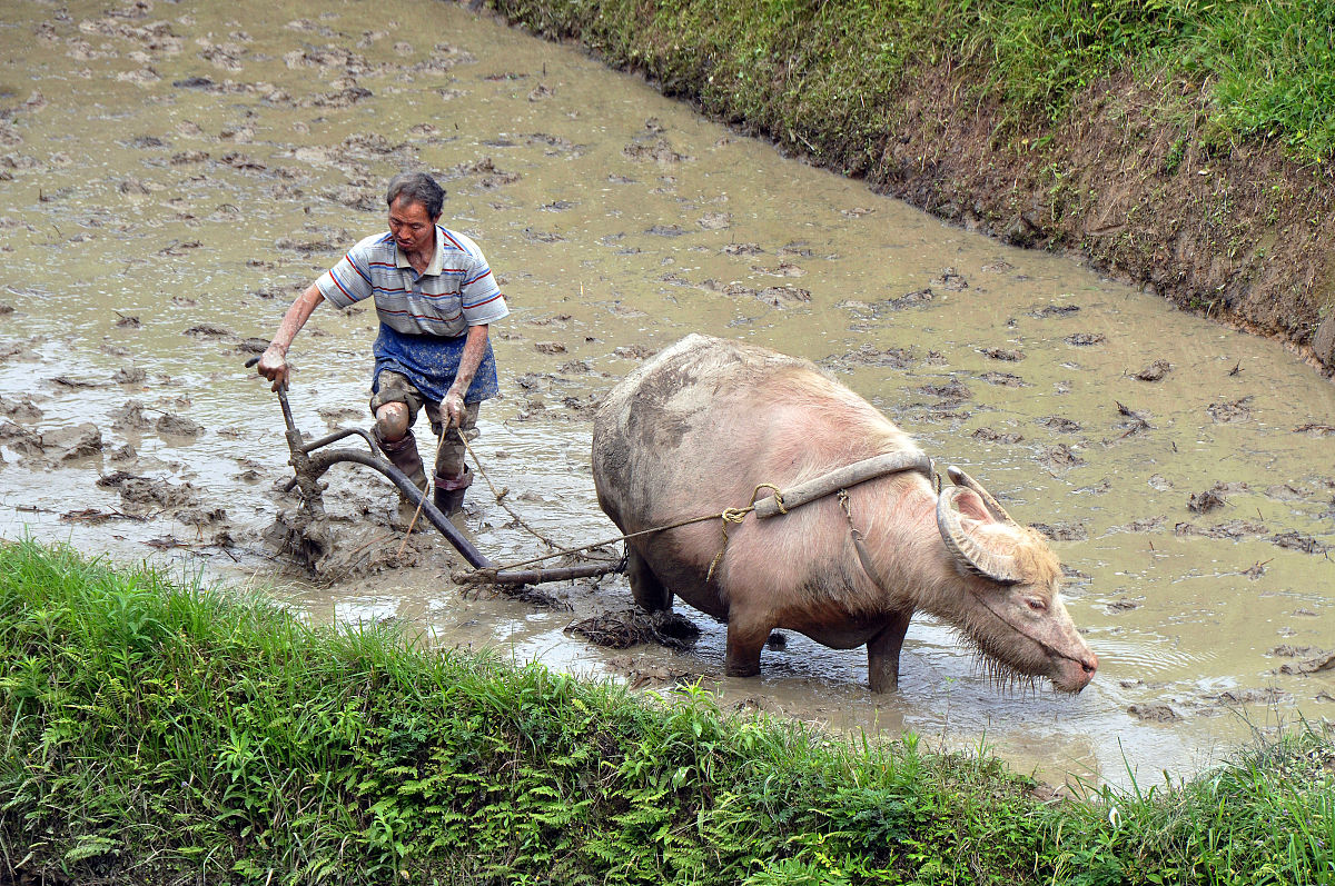 2023年贵州优秀中专学校排名 - 选择你的理想职业学校