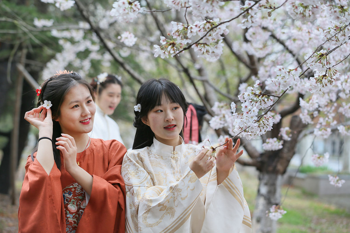 南太湖樱花节打卡攻略：汉服赏樱、市集逛吃、寻找樱花女神！