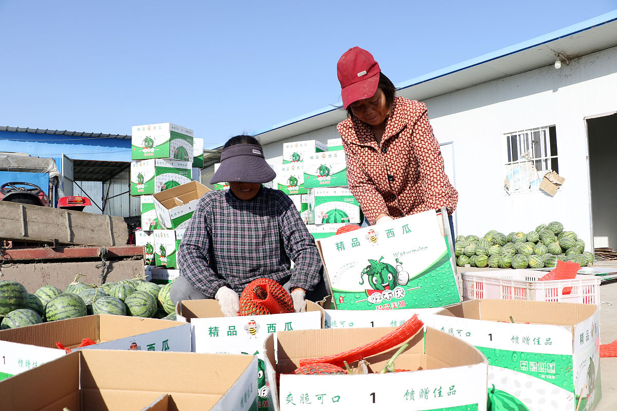 新疆电商农产品市场挑战与解决方案：物流、支付、售后、品牌