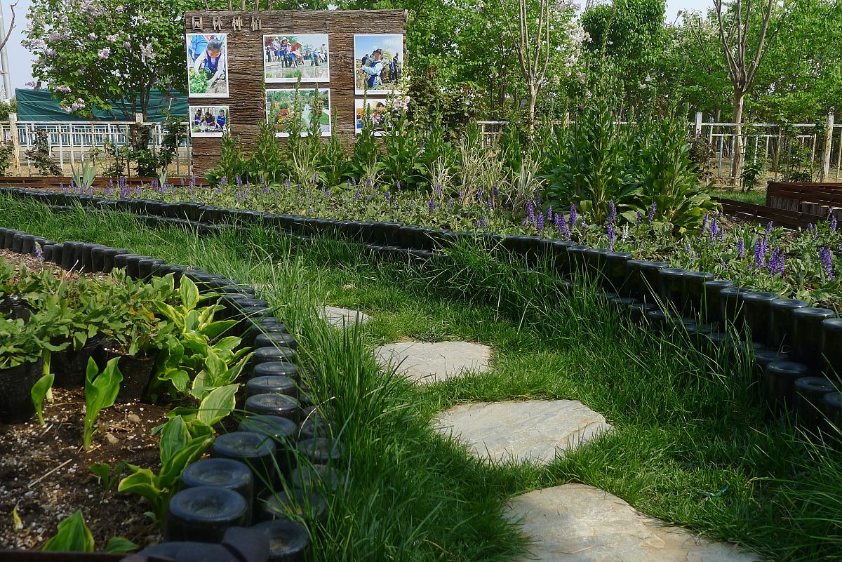 我想要一篇参观国家植物园的有关环保的调研报告大约一千字一定要和环保有关。