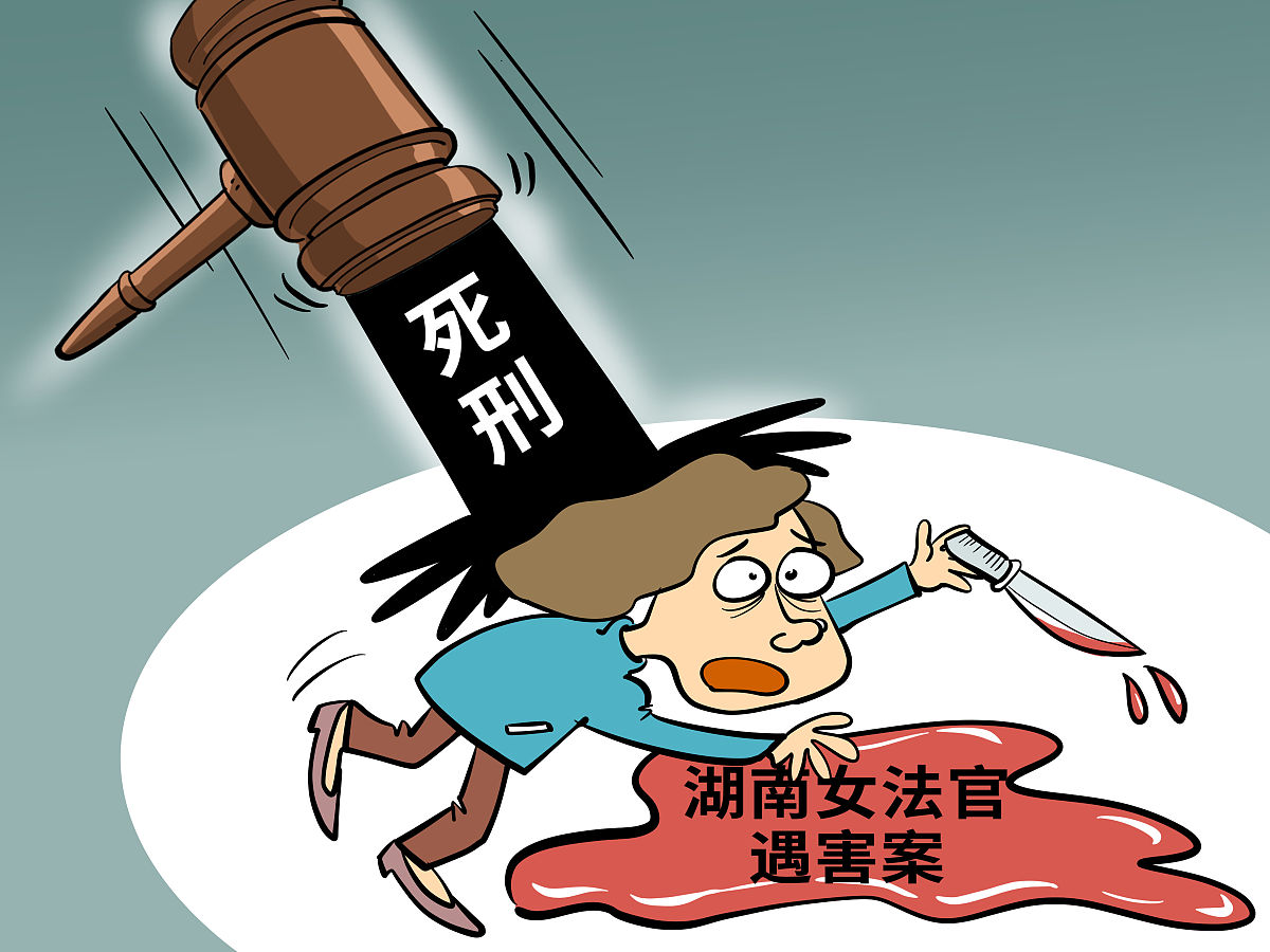 袭警罪理解和司法适用适用-开题报告