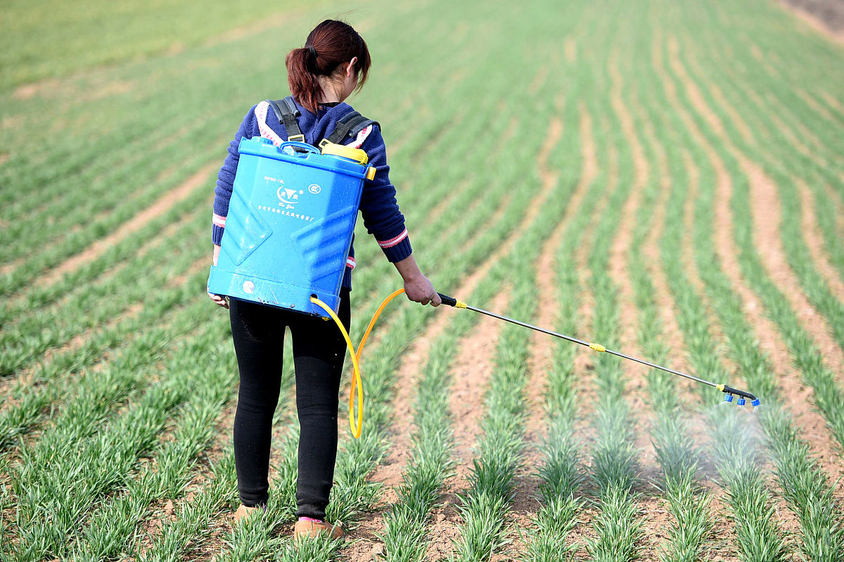有机和无机除草剂