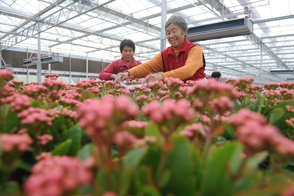 安徽冶金科技职业学院市场营销专业怎么样？优势分析