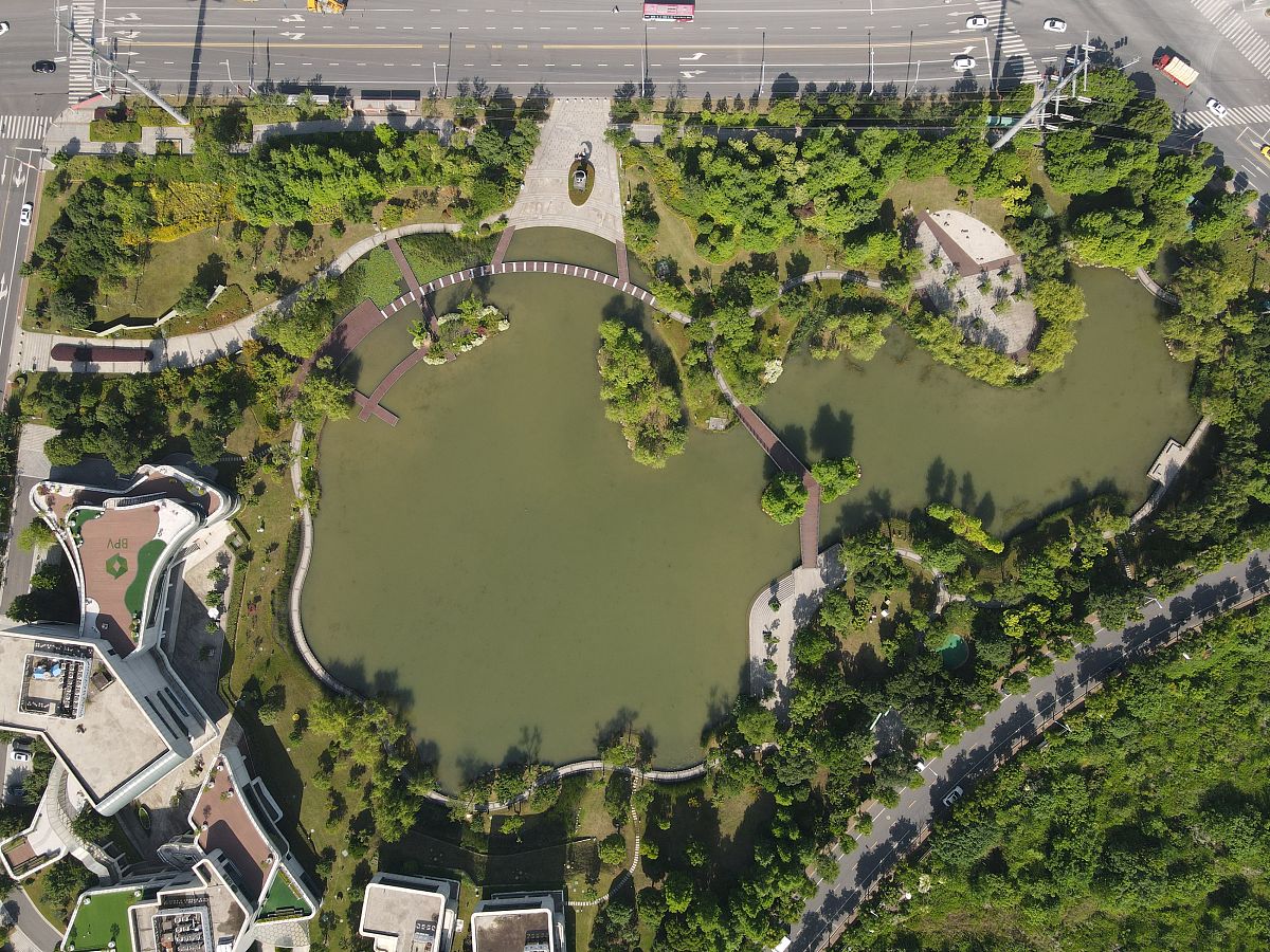 城市绿地网络体系建设指南：提高城市绿化覆盖率和生态环境