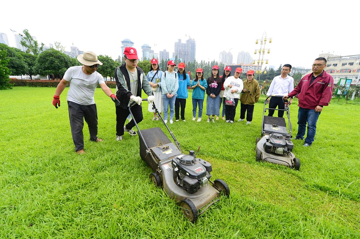 绿化养护招标请示