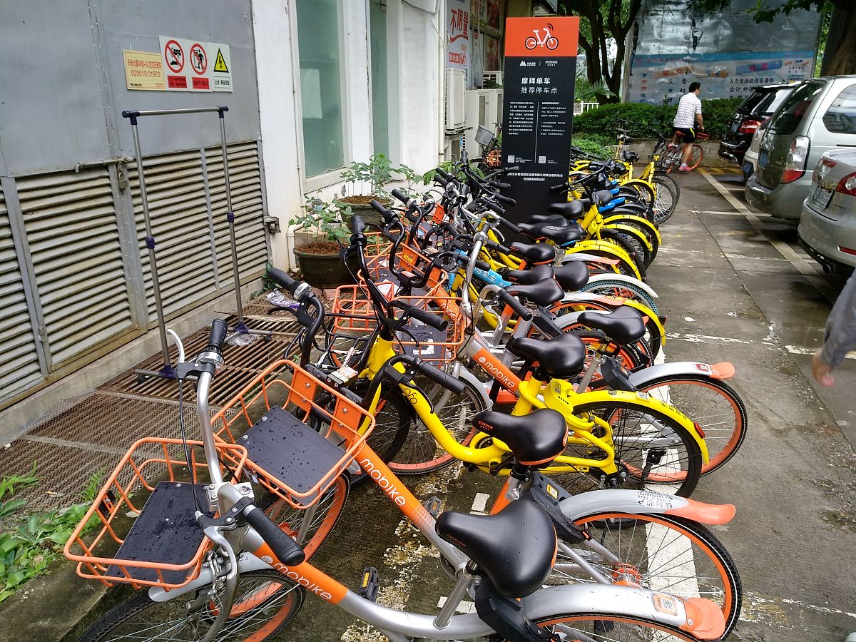 公共物品的非排他性: 定义、例子及意义