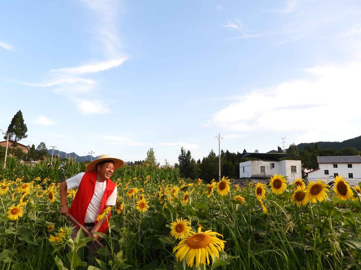 2018年达州职业中学排名情况