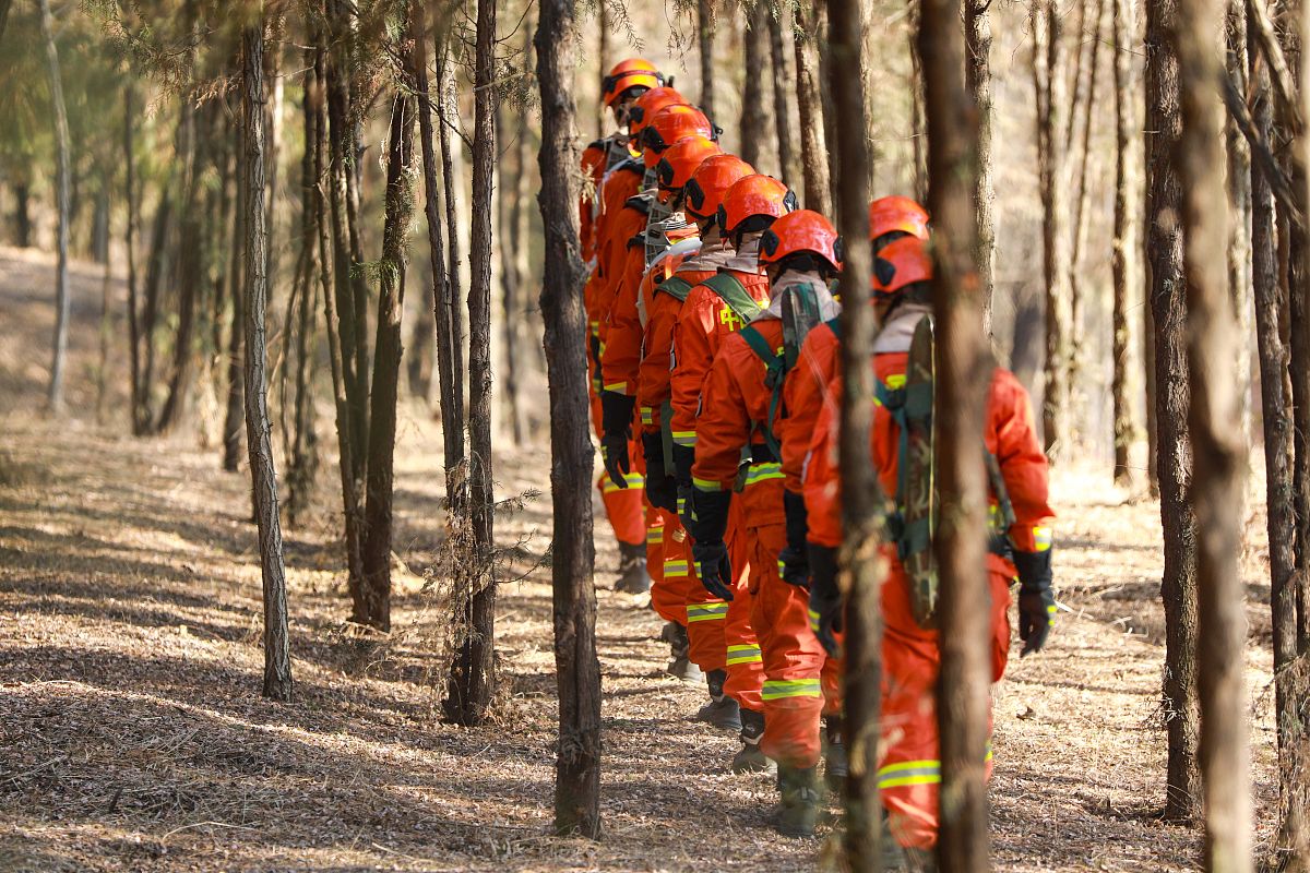 森林消防专业发展前景如何？用