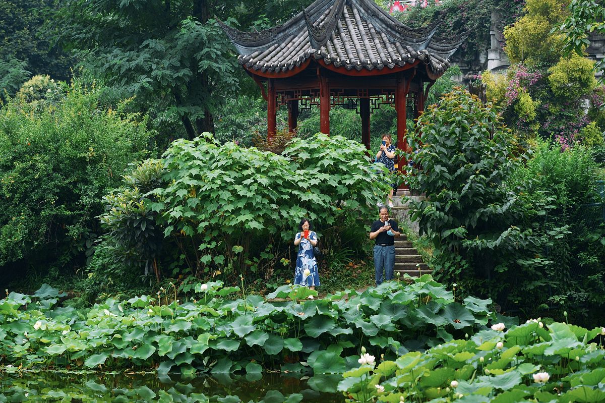 成都幼儿师范学校排名：哪所最好？