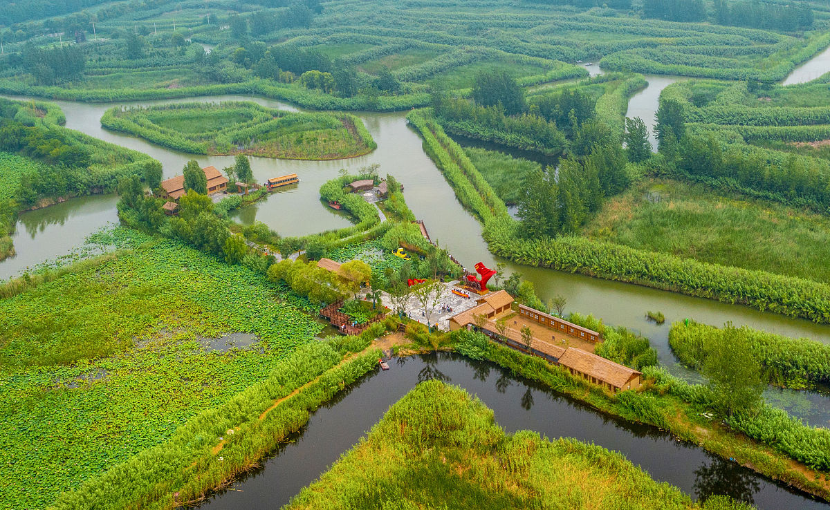 回望历史，心怀祖国：感悟中华文明的伟大