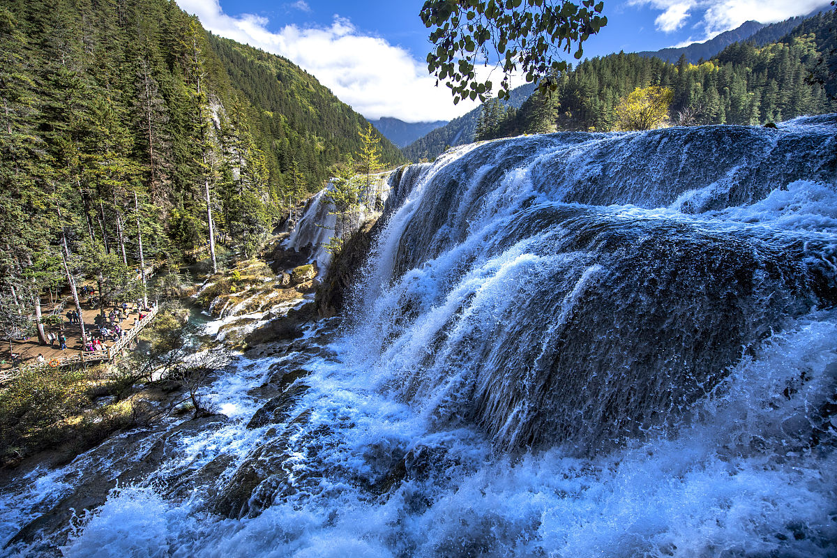 北京园林学校旅游服务与管理专业怎么样