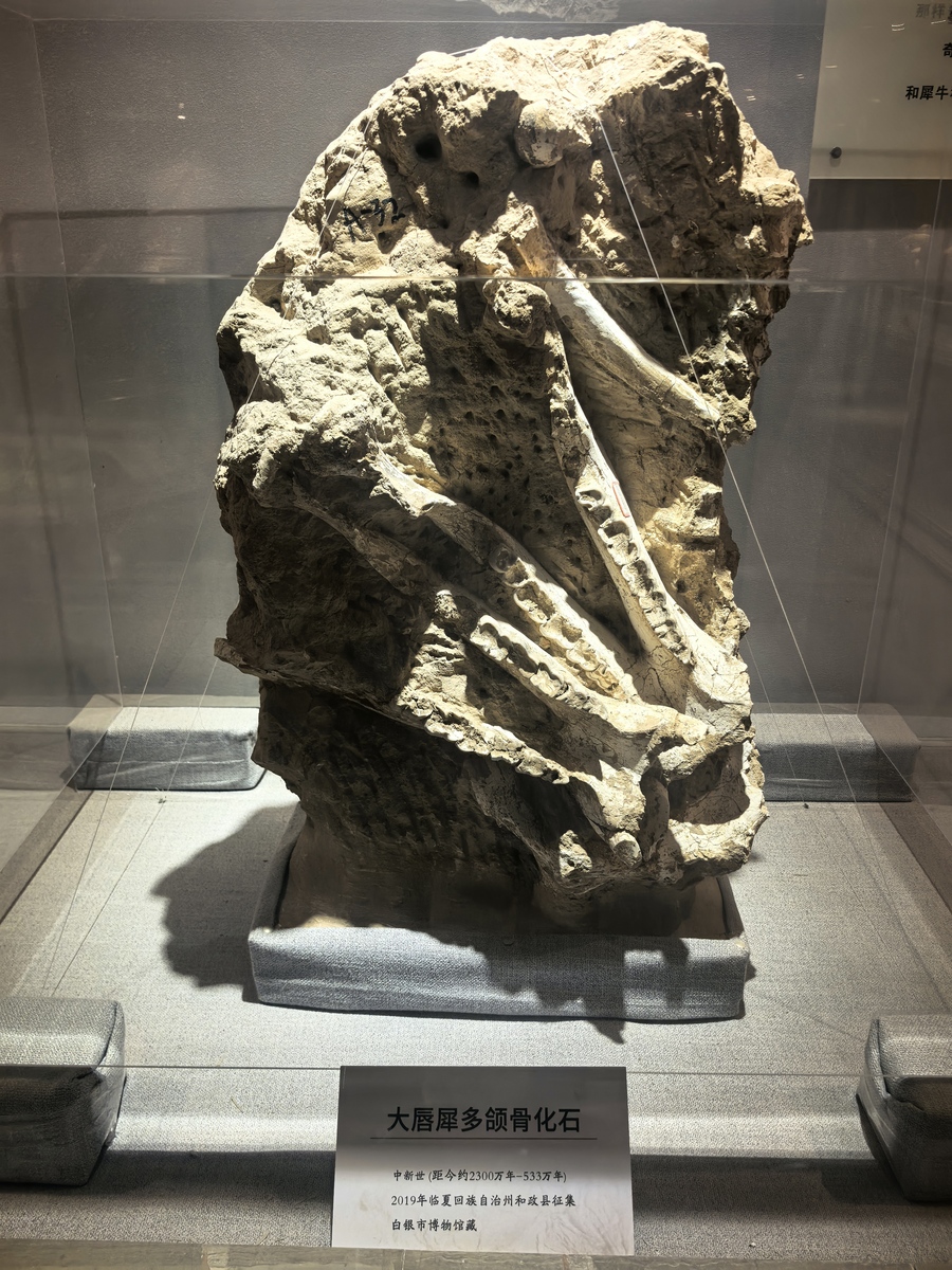 沈阳师范大学古生物学专业怎么样