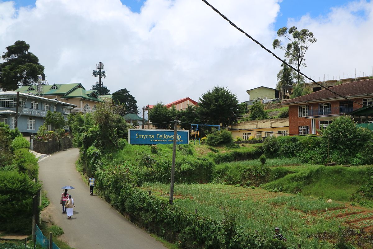 马来西亚双溪拉亚村抓住政策实现乡村发展请丰富这句话