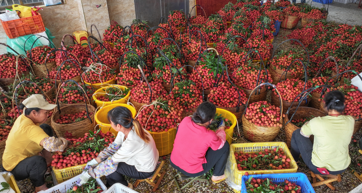 国外水果类节庆旅游开发文献：草莓节、橙子节和樱桃节案例研究