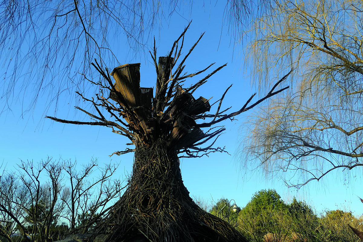 福建林业职业技术学院招生专业介绍 - 多元发展，未来无限可能