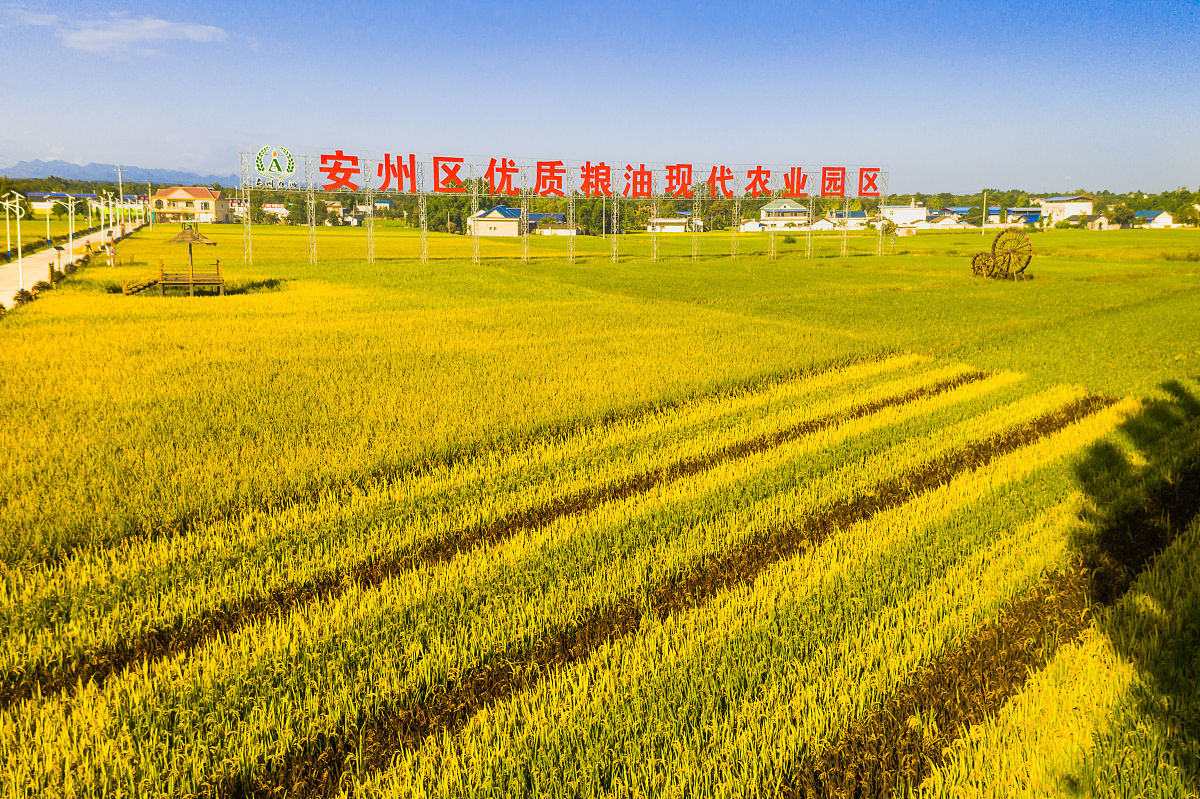 绵阳农业学校的办学模式：实践教学、创新培养、师生互动