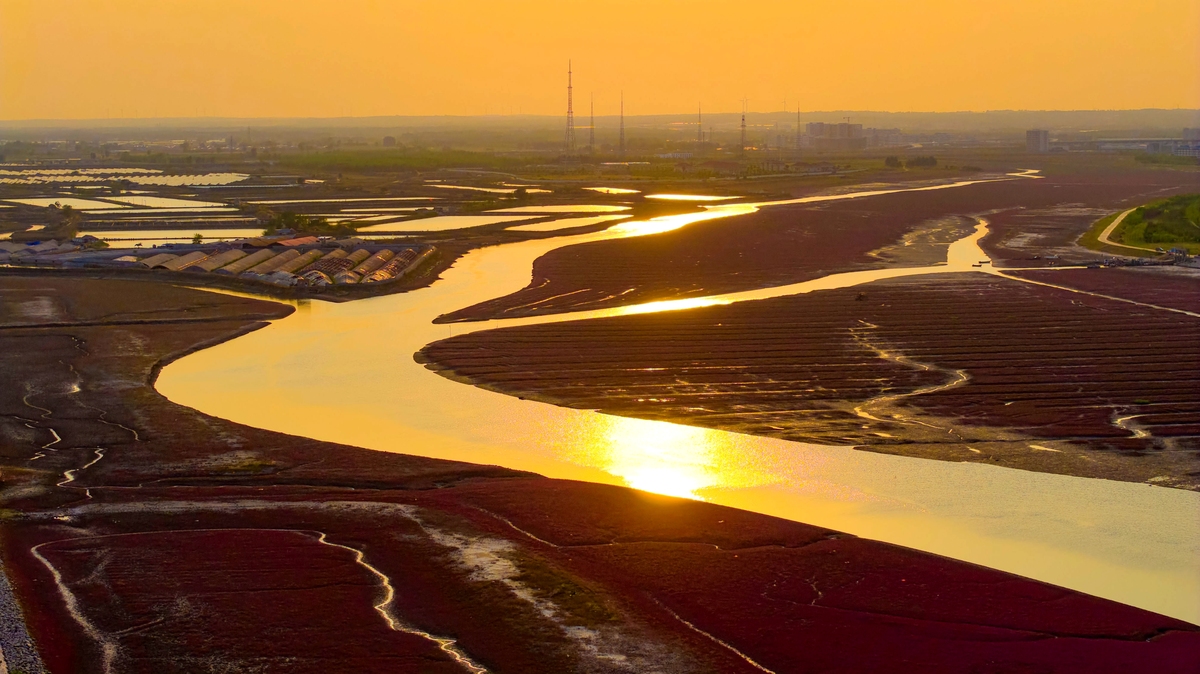 山东黄河文化传承与黄河流域高质量发展研究现状