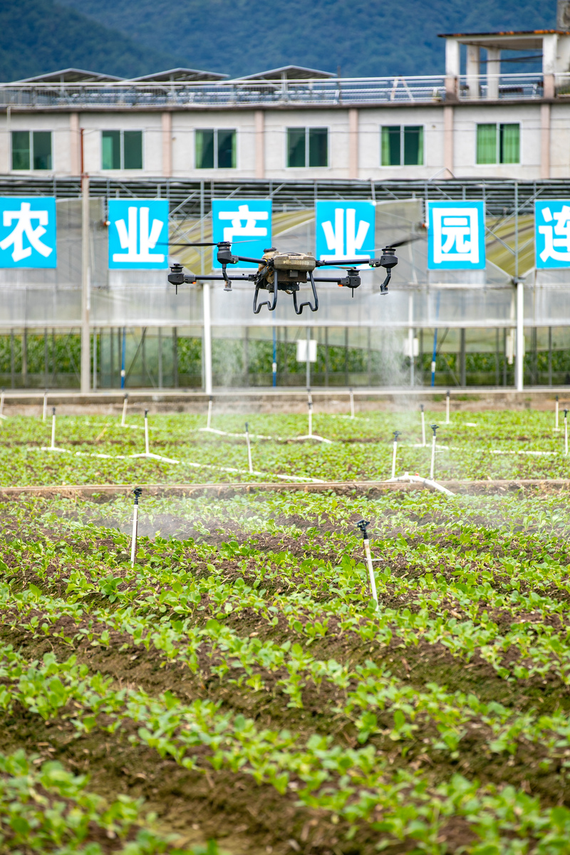 计算机网络技术在农业中的应用：论文研究与分析