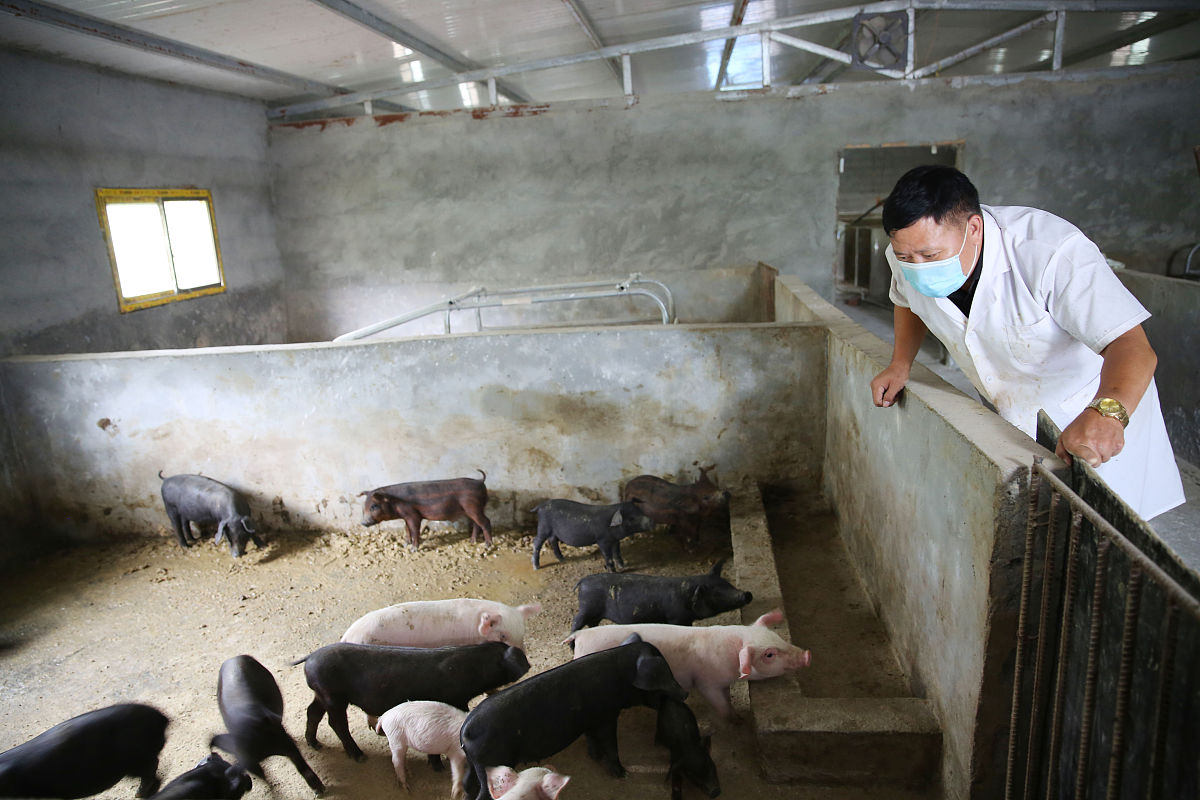 畜禽生产技术专业值得报读吗