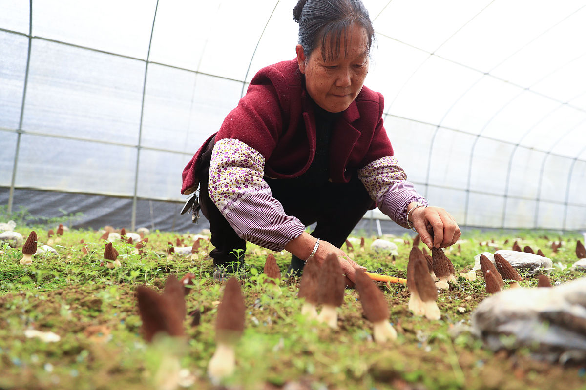 毕节市七星关区中等职业学校客户信息服务专业就业前景分析