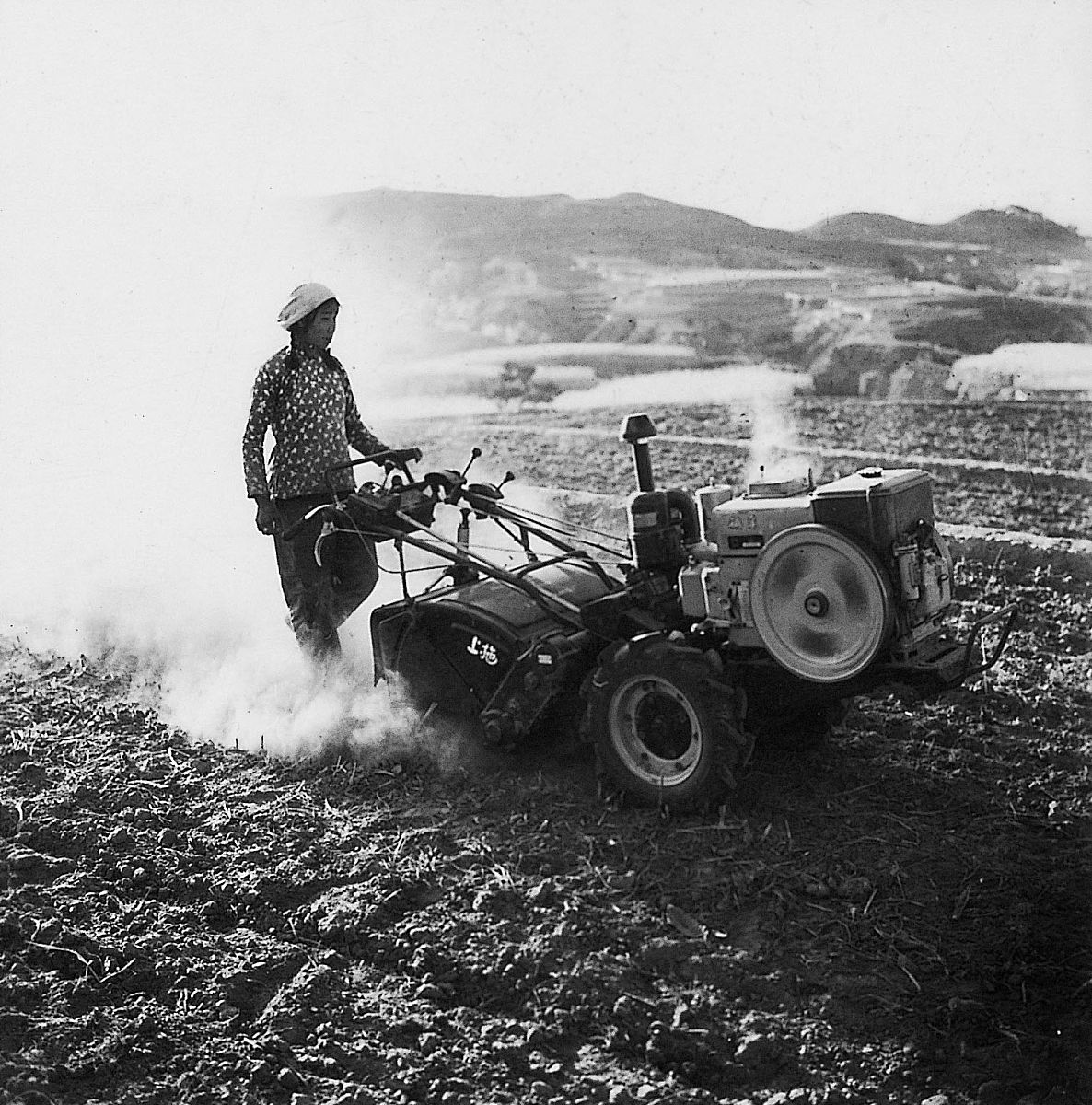 以工代赈：为何优先选择人工而非机械？