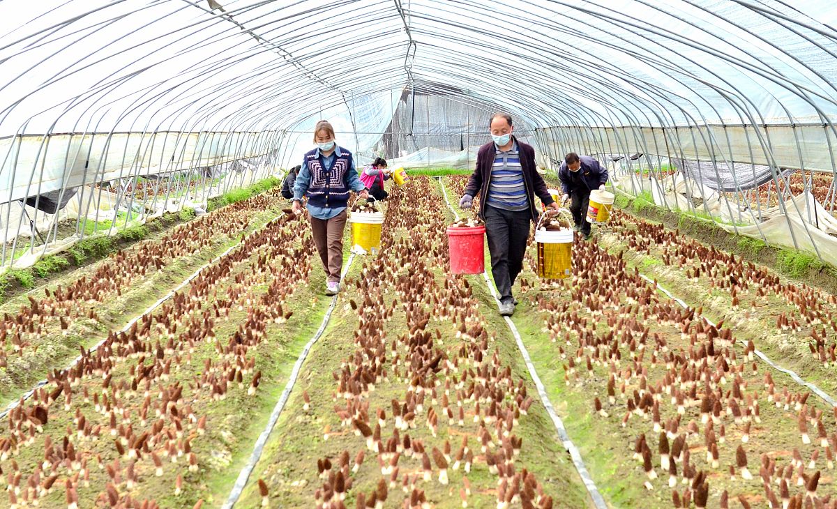 黄陵职业教育中心2022年招生条件是什么