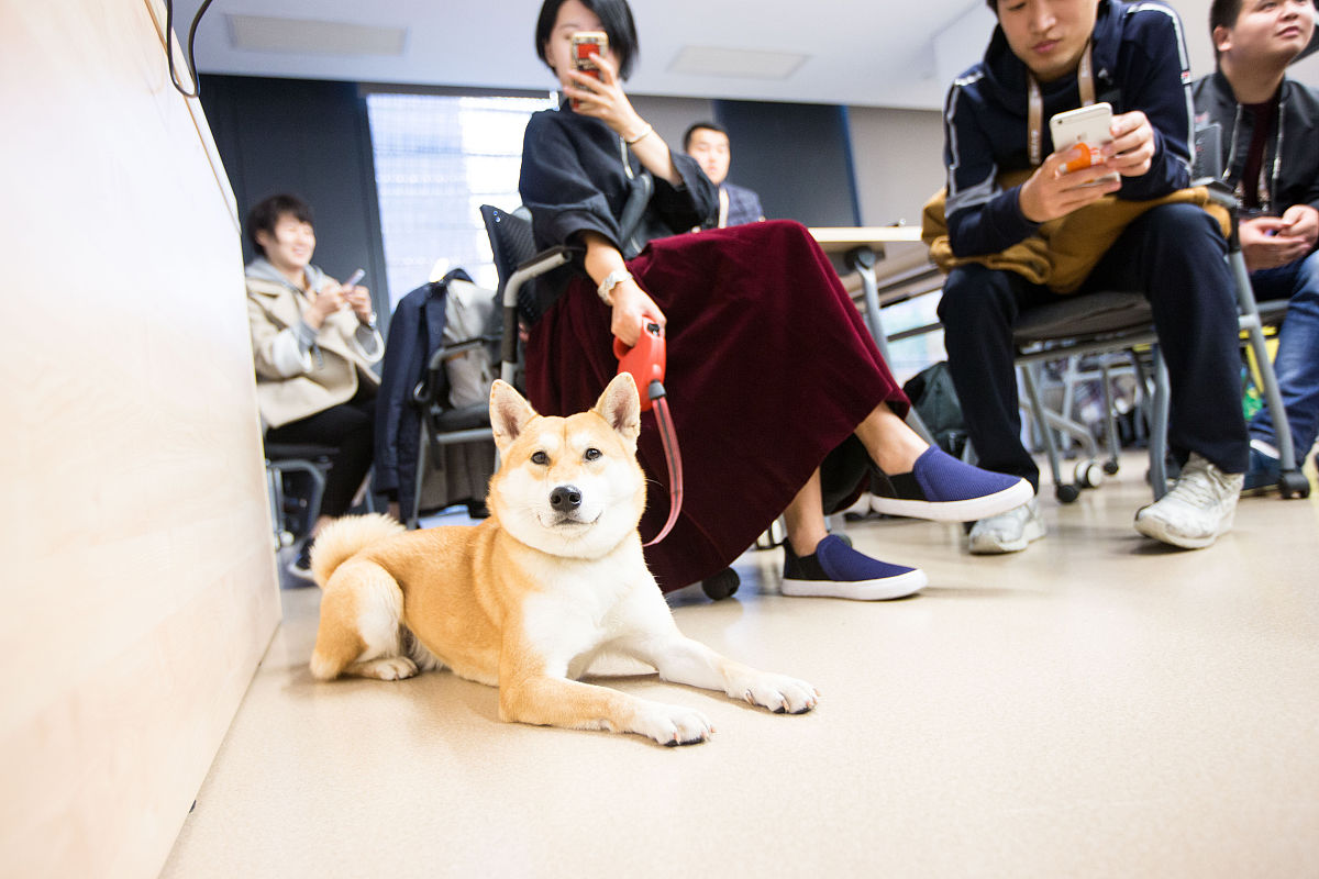 小学作文：一起做手工，共同成长