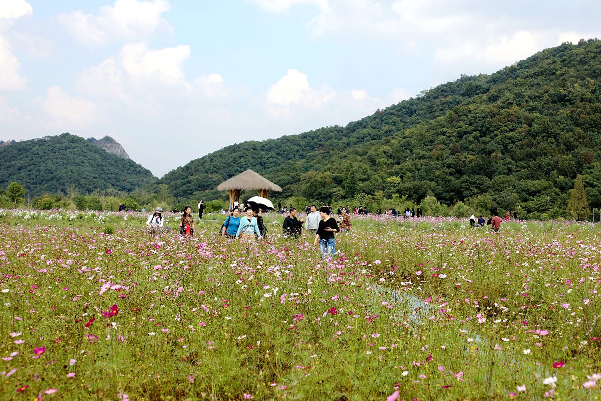 杭州西湖职业高级中学2022年招生专业选择指南