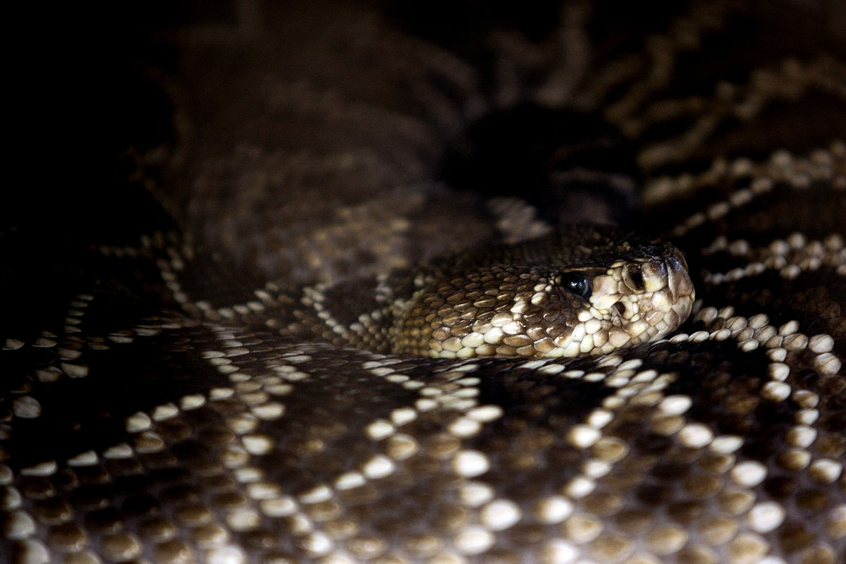 大豆品质与产品品质关系参考内容