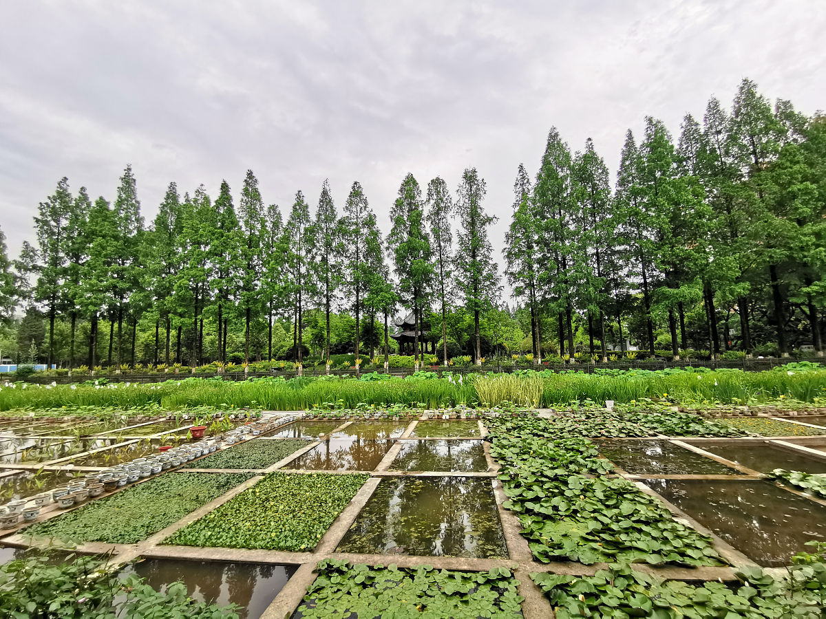 科技小院助力解决三农问题