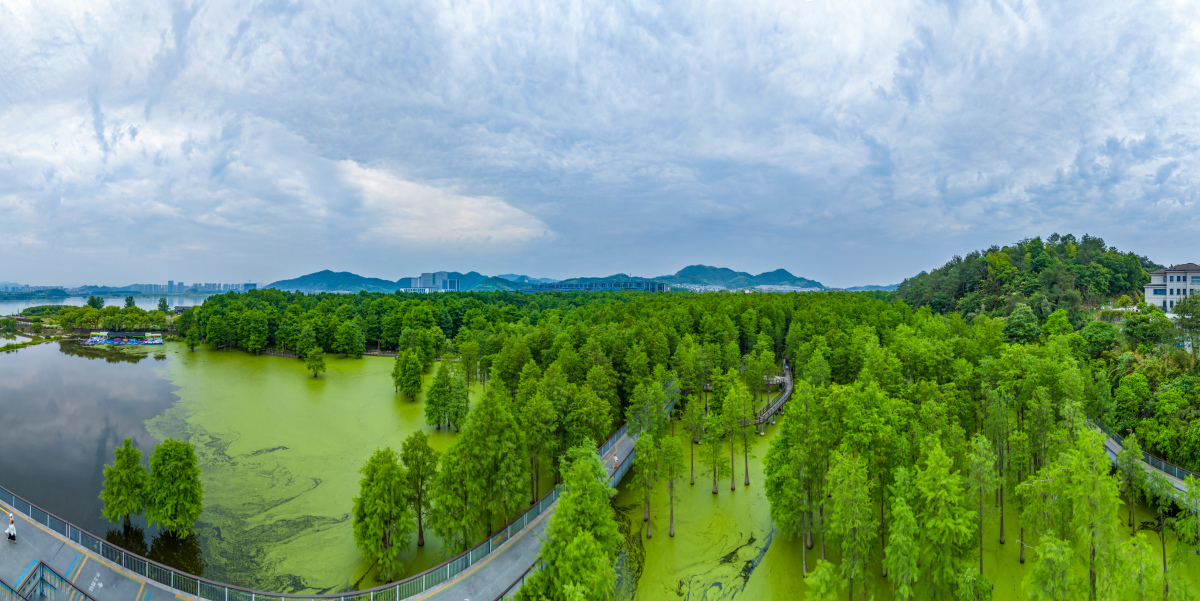 浠水县生态环境