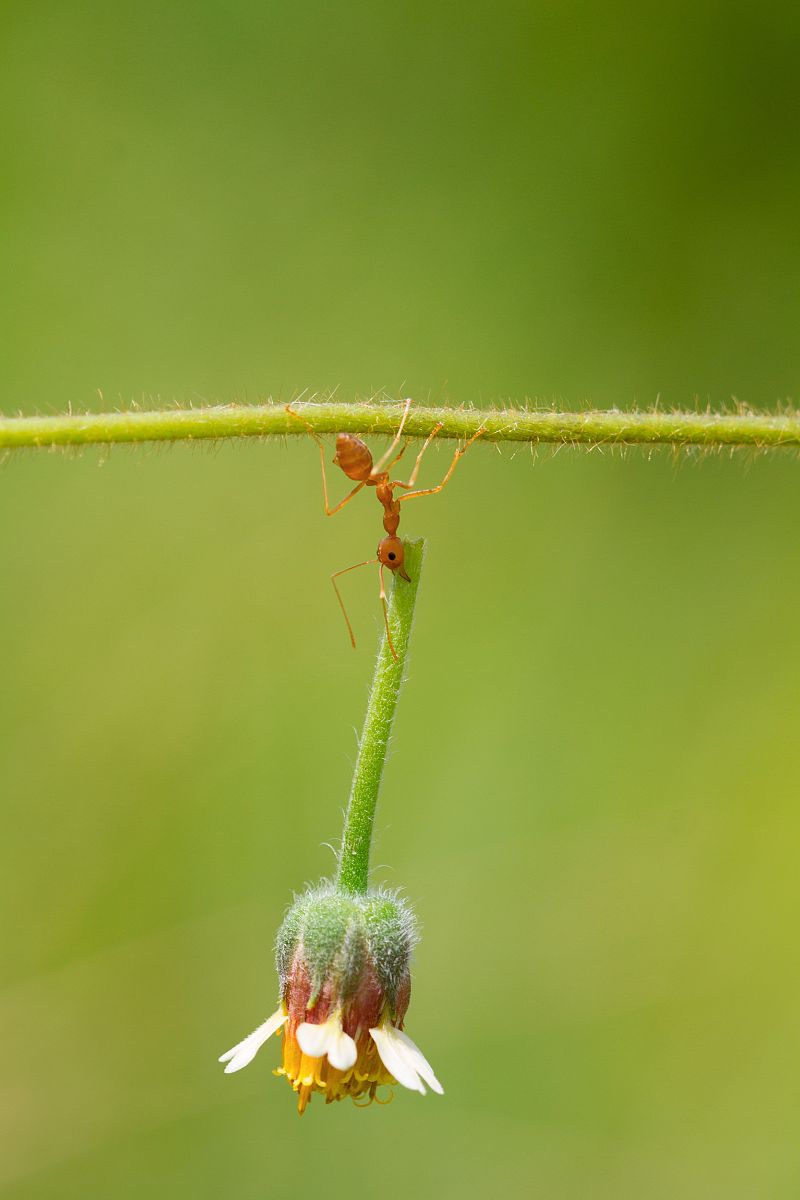 小学生4年级现代诗