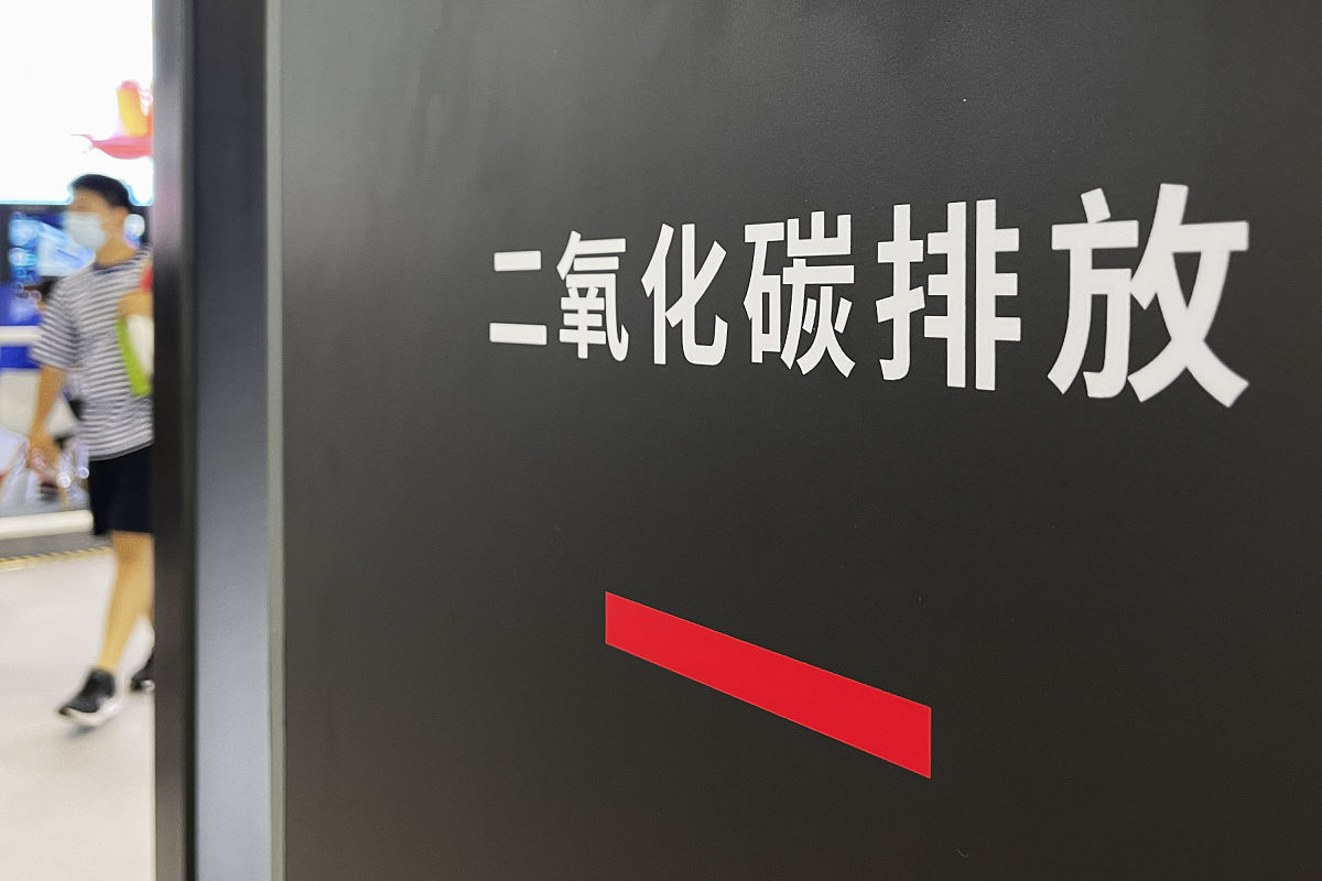 可研报告碳达峰碳中和分析章节目标与原则撰写指南