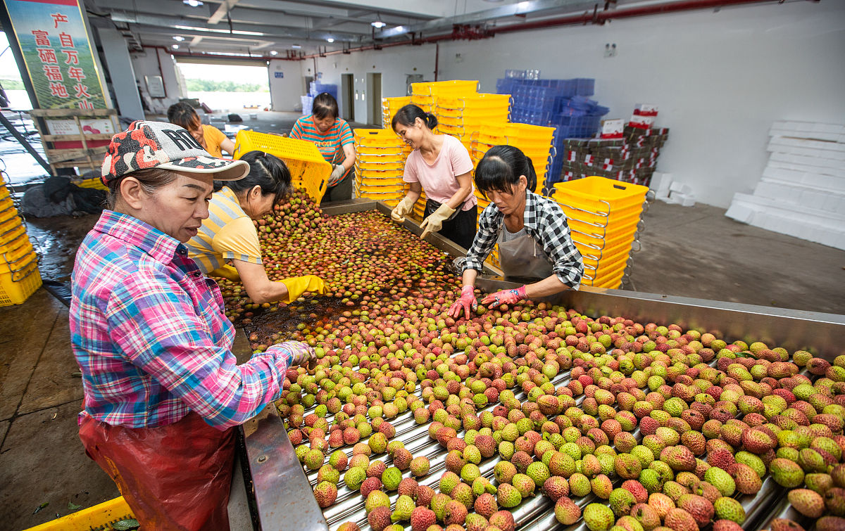 荔枝水果销售公司的客户价值