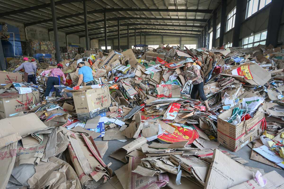 废纸板和废旧无纺衬纸哪个价格更高？
