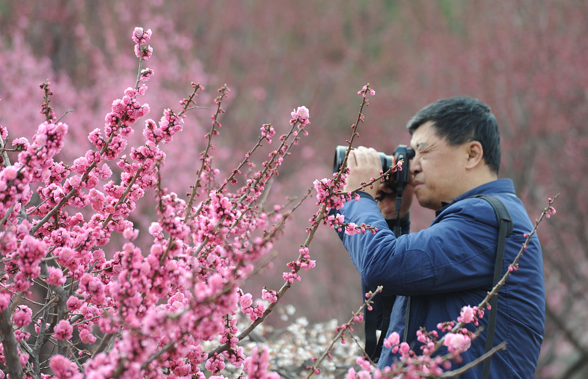 烟台南山职业学校2021年招生要求：培养技术技能型人才