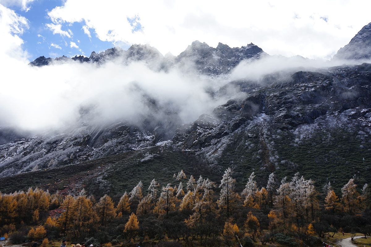 四川就业前景好专业推荐：短期成才选汽车美容