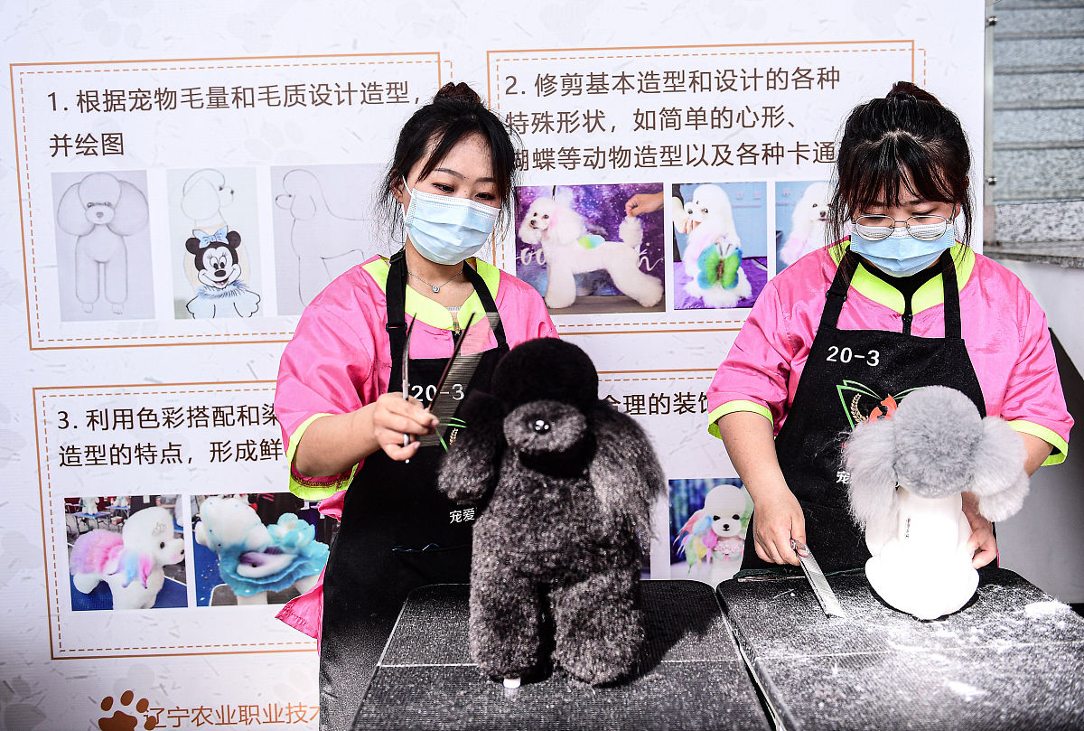 黄冈交通学校2023年招生简章-怎么样