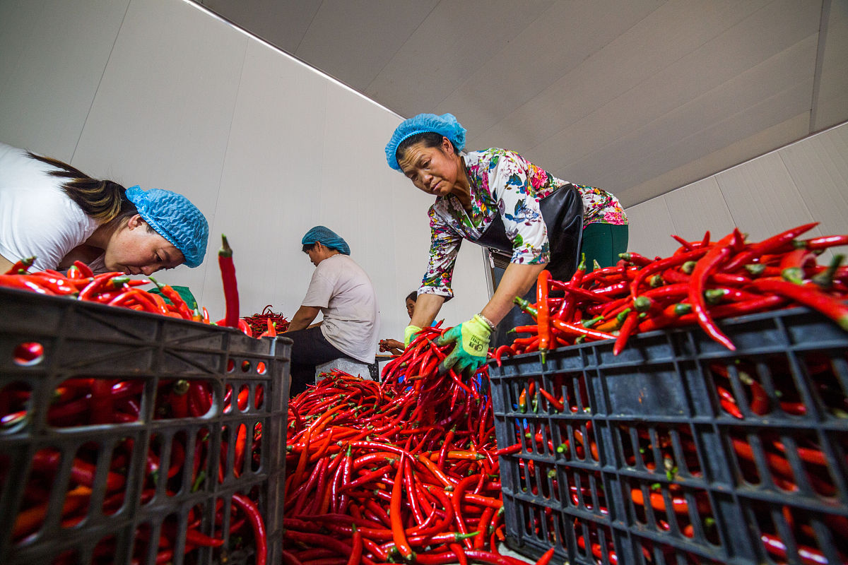 2019年贵州卫校招生