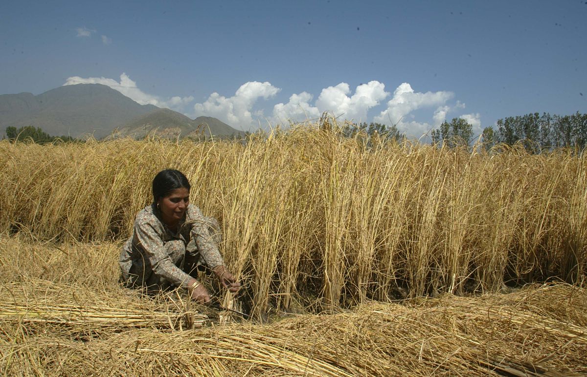 IP分段与重组：常见误区解析
