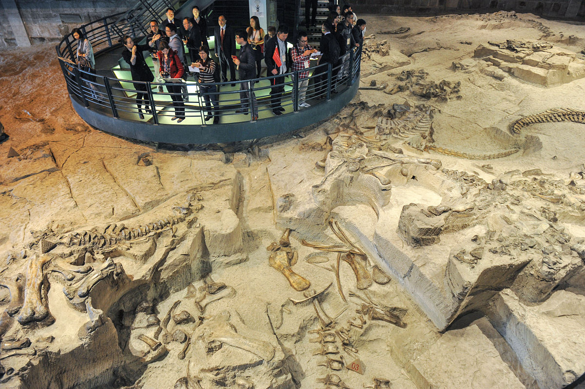 恐龙无处不在仿文章推理思路写一篇推理150字