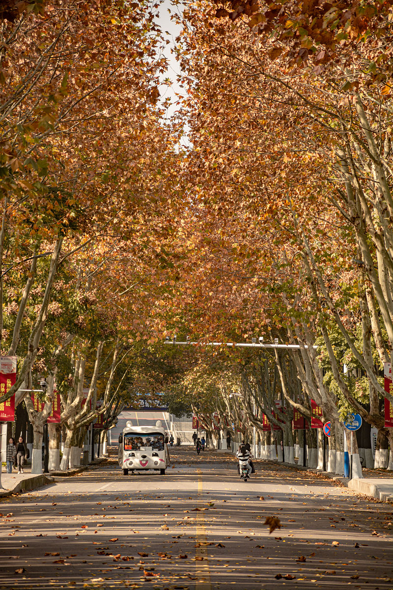 云南商务信息工程学校2022年三年制普通中专招生简章