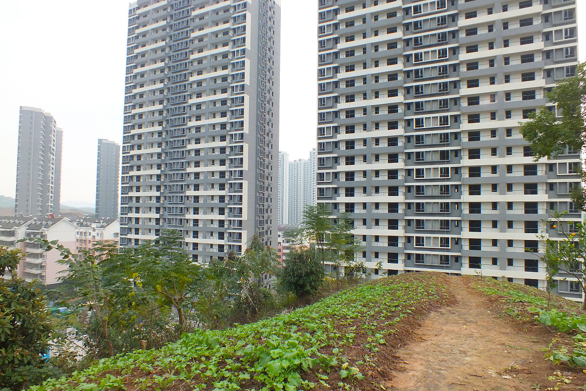 湖北科技职业学院房地产经营与估价专业怎么样？ - 深入解析优势与不足