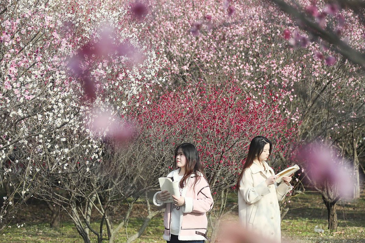 淮阴师范学院2022年招生简章