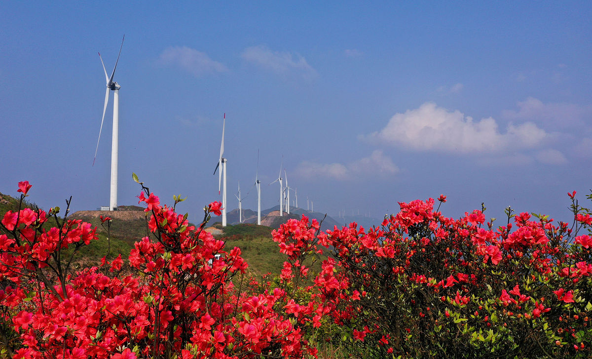 为了更深入地了解其经济发展情况本部分进一步将目光聚焦在省域层面对长三角所辖的3个省的经济高质量发展指数进行了分析对这段话改写降重