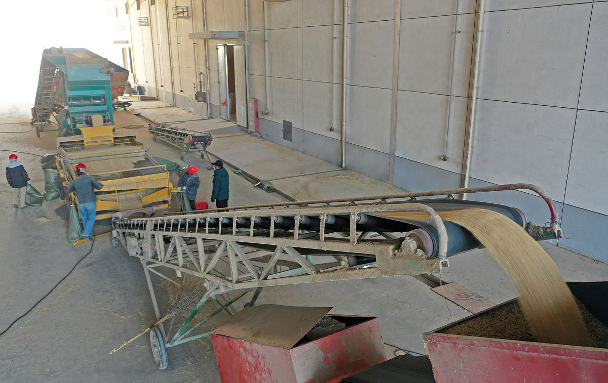 筒仓货物出货缓慢及责任分析