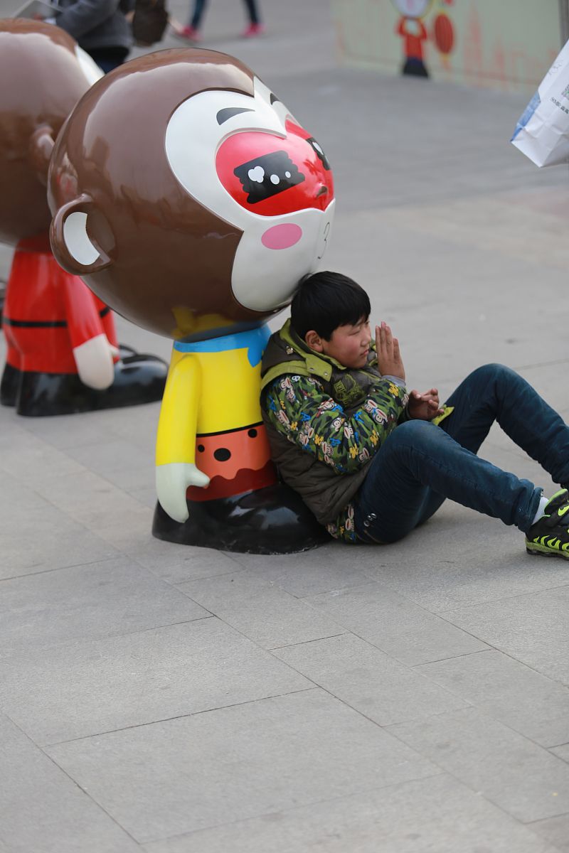 山东职业学院生物技术及应用专业怎么样