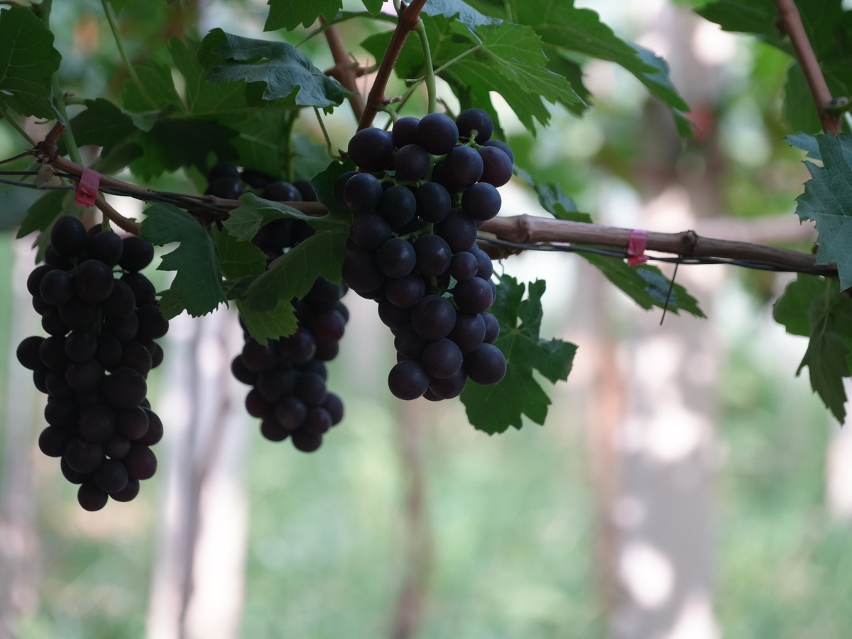 贵州内贸学校合作社经营管理专业招生