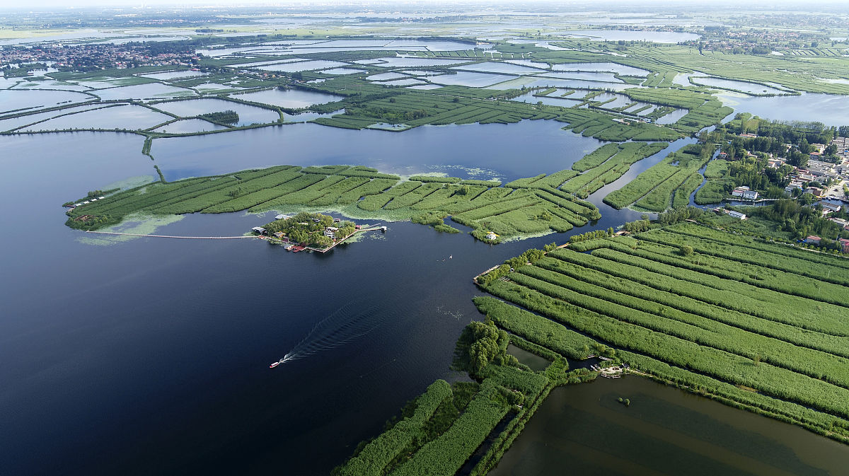 夏天来了作文200字：描写夏天的美好与乐趣