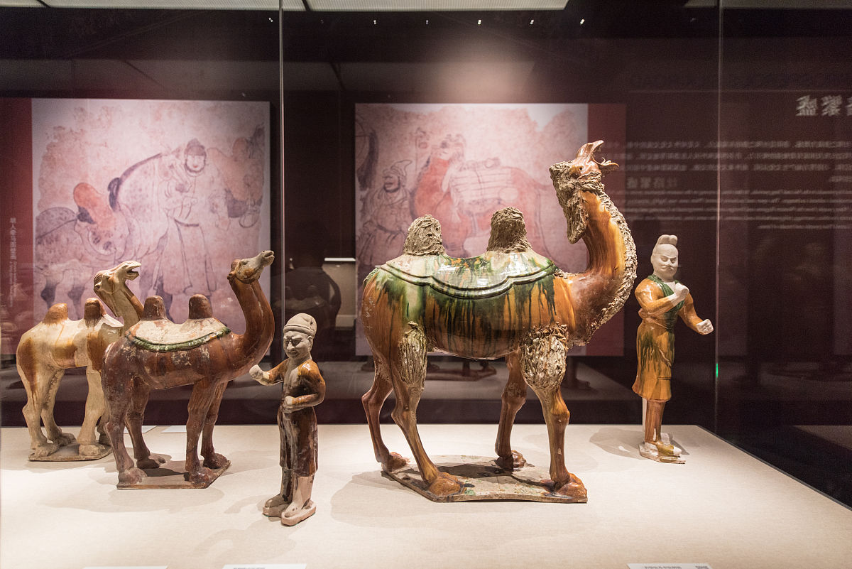 具体阐述高中政治和历史有什么区别